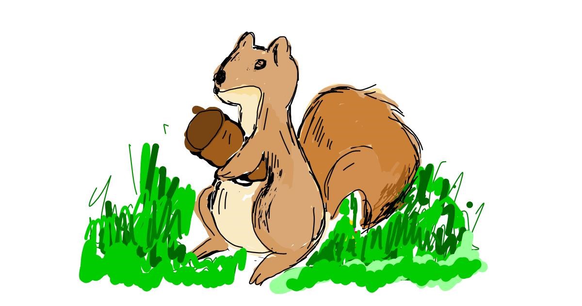 Drawing of Squirrel by Lsk