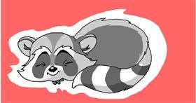 Drawing of Raccoon by InessA