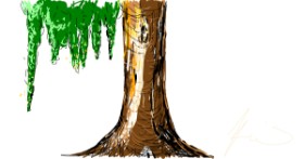 Drawing of Tree by heheh