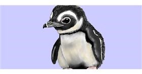 Drawing of Penguin by Kim