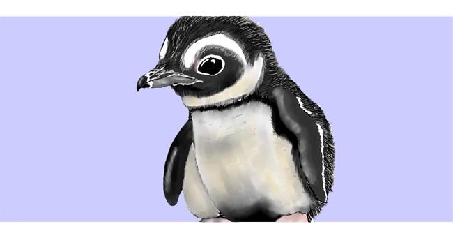 Drawing of Penguin by Kim