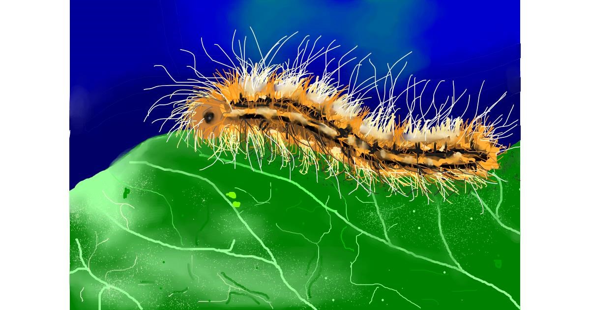 Drawing of Caterpillar by TrillCosby