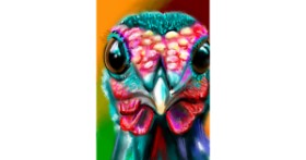 Drawing of Turkey by ⋆su⋆vinci彡