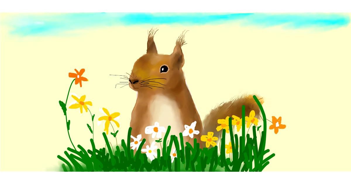 Drawing of Squirrel by Gillian