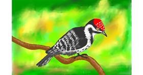 Drawing of Woodpecker by GJP