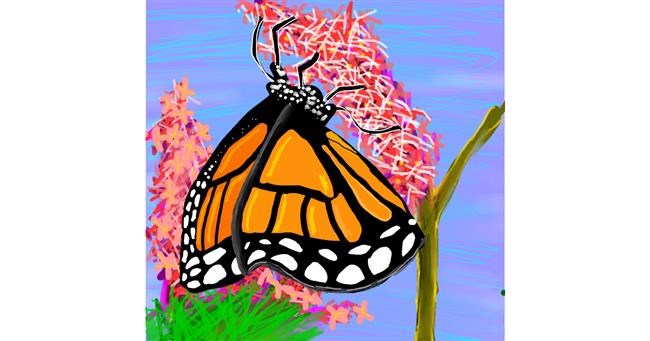 Schmetterling-Zeichnung von Bro