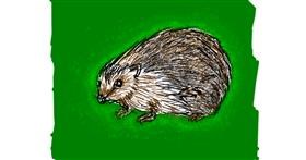 Drawing of Hedgehog by Cherri