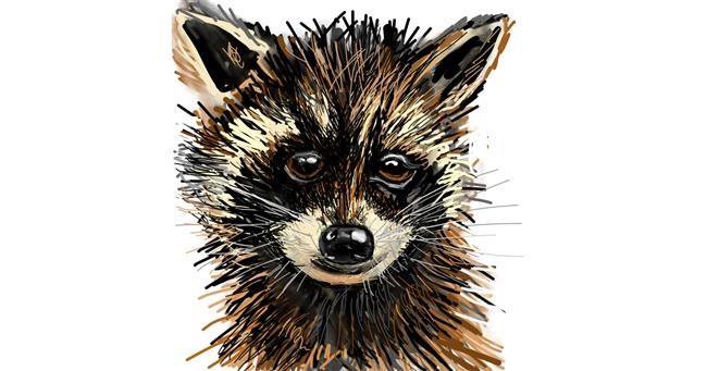 Drawing of Raccoon by KayXXXlee
