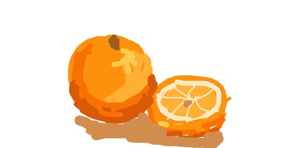 Drawing of Orange by Firsttry