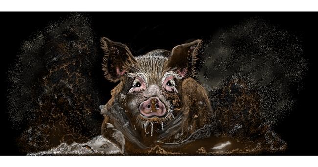Drawing of Pig by Chaching