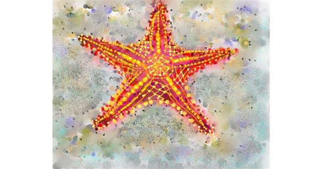 Drawing of Starfish by Kai 🐾