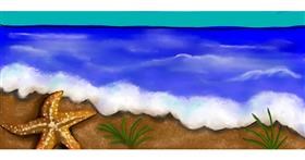 Drawing of Starfish by justme❤️