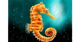 Drawing of Seahorse by Wizard