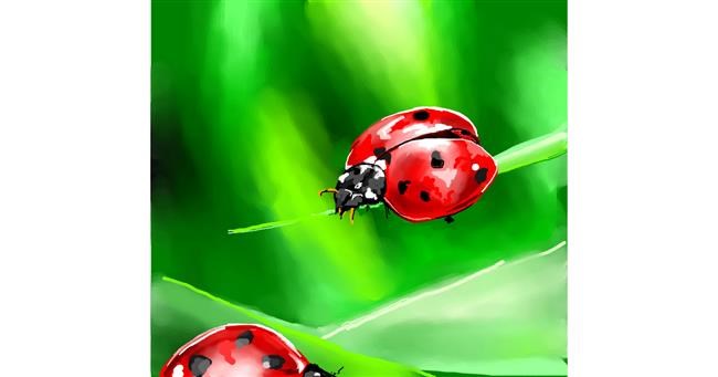 Drawing of Ladybug by Elliev