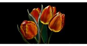 Tulipani - autor: Çhåching