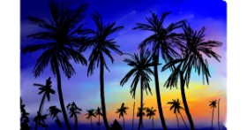Drawing of Palm tree by Rose rocket