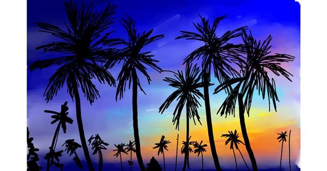 Drawing of Palm tree by Rose rocket