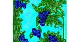 Drawing of Blueberry by Nonuvyrbiznis 