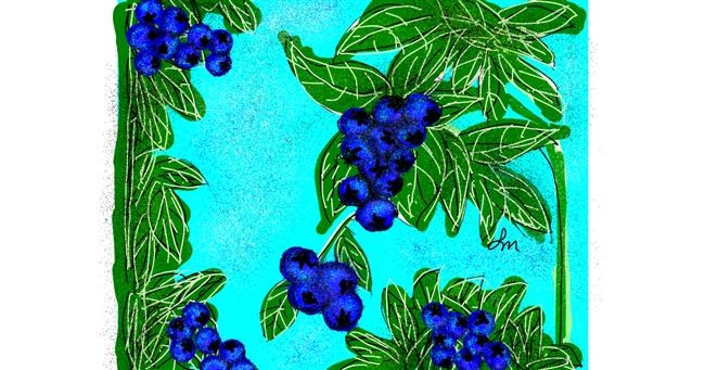Drawing of Blueberry by Nonuvyrbiznis 