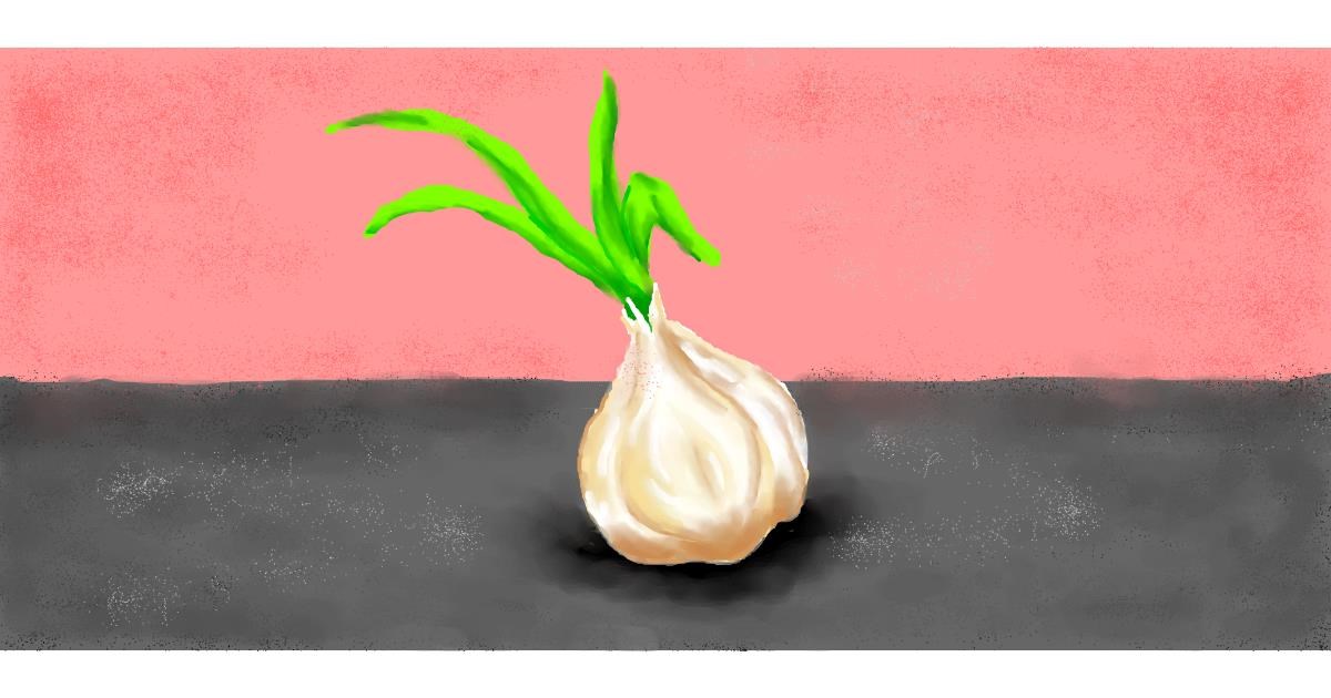 Drawing of Garlic by Strider