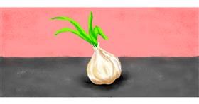 Drawing of Garlic by Strider