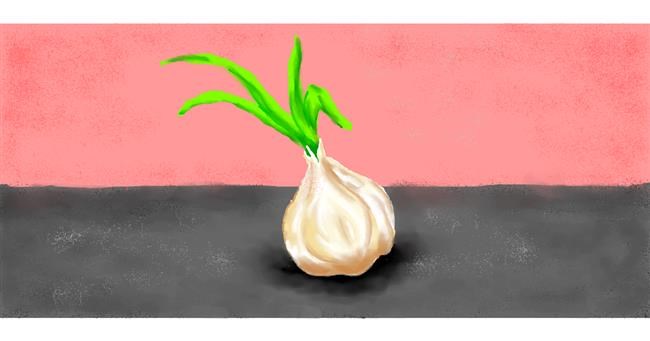 Drawing of Garlic by Strider