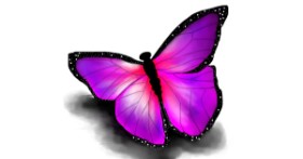 Drawing of Butterfly by Tokyo