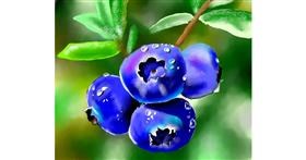 Drawing of Blueberry by Satoru