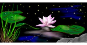 Drawing of Water lily by Çhåching