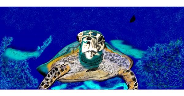 Drawing of Sea turtle by Chaching - Drawize Gallery!