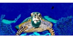 Drawing of Sea turtle by Chaching