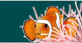 Drawing of Clownfish by Eclat de Lune