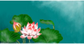 Drawing of Water lily by Eclat de Lune