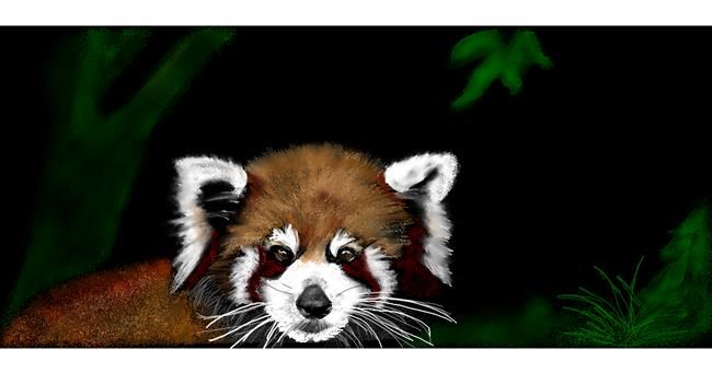 Roter Panda-Zeichnung von Chaching