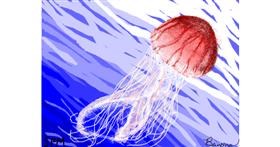 Drawing of Jellyfish by Banana