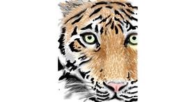 Drawing of Tiger by ⋆su⋆vinci彡