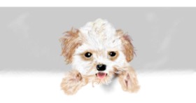 Drawing of Dog by Çhåching