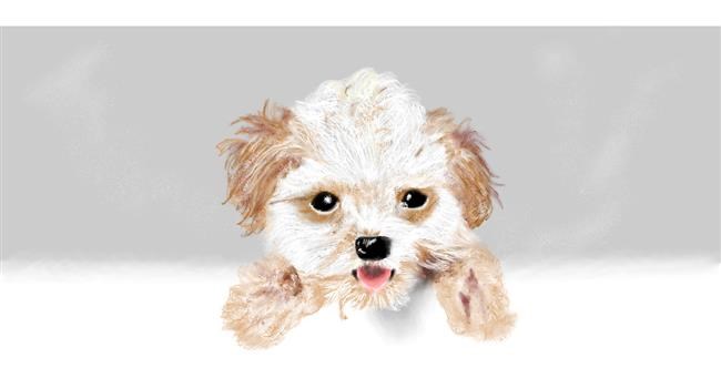 Hund-Zeichnung von Chaching