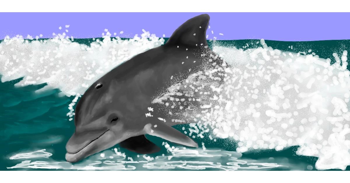 Full Size Drawing