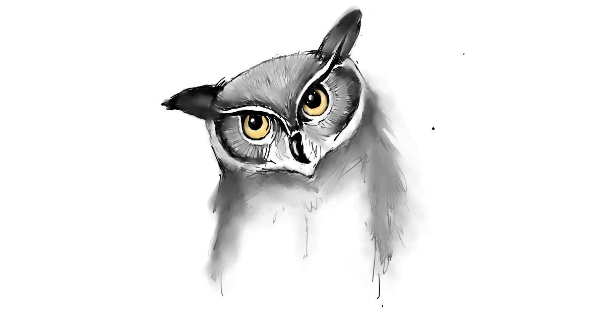 Drawing of Owl by JSim
