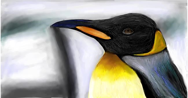 Drawing of Penguin by Mia