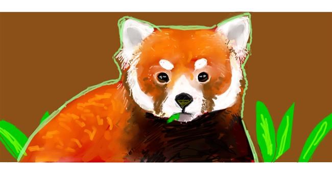 Roter Panda-Zeichnung von Sample text