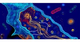 Drawing of Bacteria by Çhåching