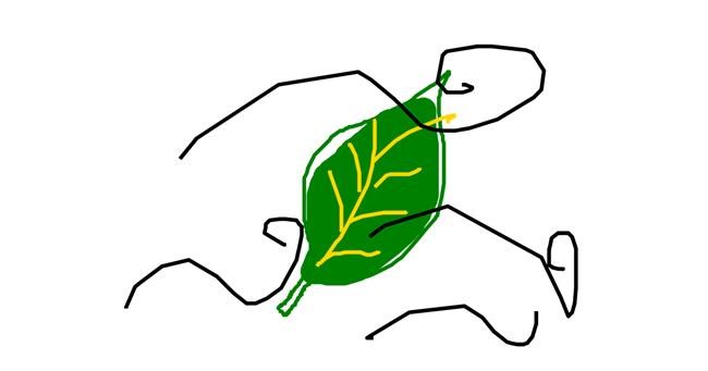 Drawing of Leaf by sarah