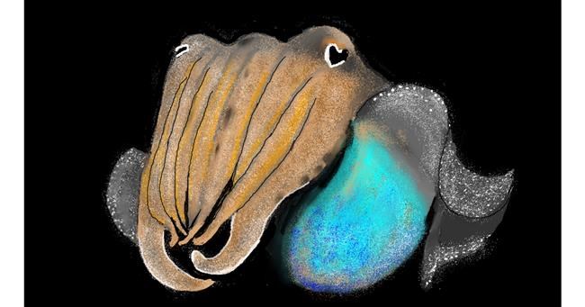 Drawing of Cuttlefish by SAM AKA MARGARET 🙄
