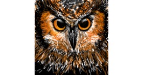 Drawing of Owl by KayXXXlee