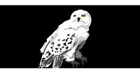 Harry Potter-Zeichnung von Addie mae