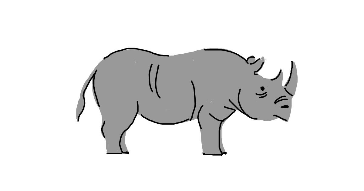 Drawing of Rhino by alison