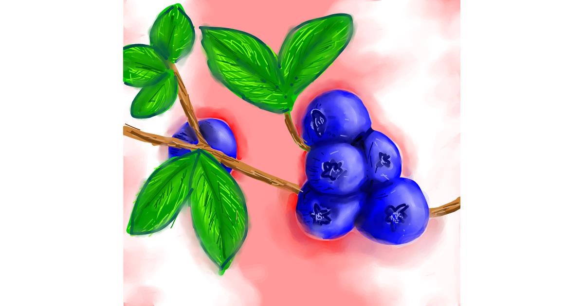 Drawing of Blueberry by Peek