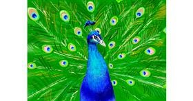 Drawing of Peacock by 𝐋𝐢𝐚